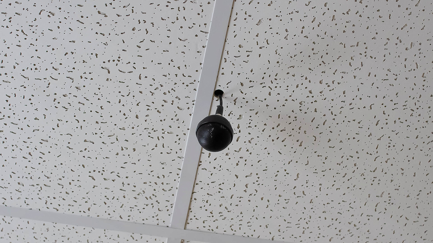 Модернизация зала учёного совета